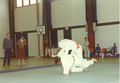 ... vuoden 1974 Piirinmestaruuskisoihin.